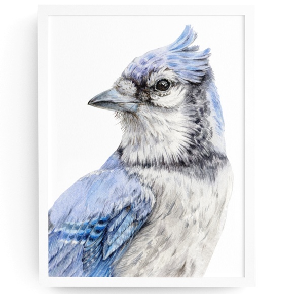 Other - Blue Jay Bird Portrait Wall Art Watercolor Print Poster Unframed